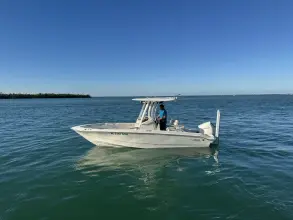 Thumbnail von Boston Whaler 220 Dauntless