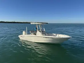Thumbnail von Boston Whaler 220 Dauntless