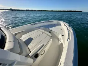 Thumbnail von Boston Whaler 220 Dauntless