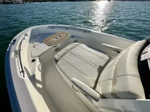 Thumbnail von Boston Whaler 220 Dauntless