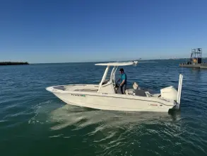 Thumbnail von Boston Whaler 220 Dauntless