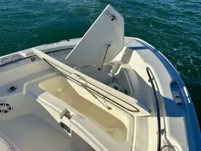 Thumbnail von Boston Whaler 220 Dauntless