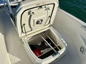 Thumbnail von Boston Whaler 220 Dauntless