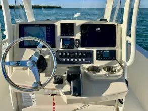 Thumbnail von Boston Whaler 220 Dauntless