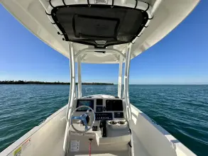 Thumbnail von Boston Whaler 220 Dauntless