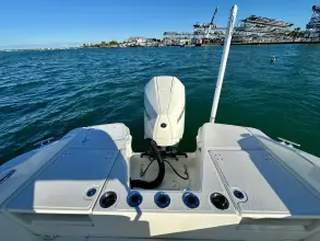 Thumbnail von Boston Whaler 220 Dauntless