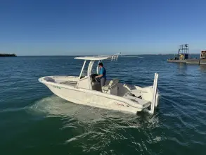 Thumbnail von Boston Whaler 220 Dauntless