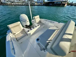 Thumbnail von Boston Whaler 220 Dauntless
