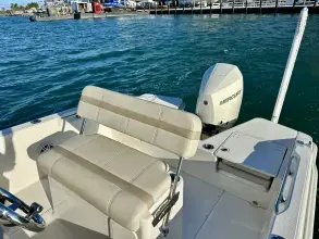 Thumbnail von Boston Whaler 220 Dauntless