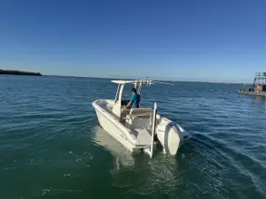 Thumbnail von Boston Whaler 220 Dauntless