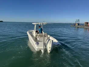 Thumbnail von Boston Whaler 220 Dauntless