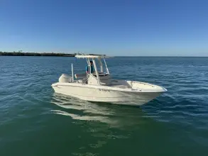 Thumbnail von Boston Whaler 220 Dauntless