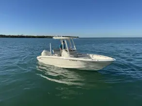 Thumbnail von Boston Whaler 220 Dauntless