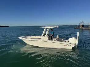 Thumbnail von Boston Whaler 220 Dauntless
