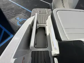 Thumbnail von Sea Ray SPX 210 Outboard