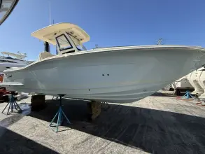 Scout 261 XSS