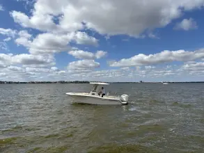 Thumbnail von Grady White Fisherman 216