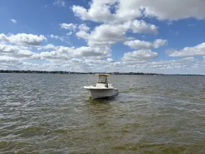 Thumbnail von Grady White Fisherman 216