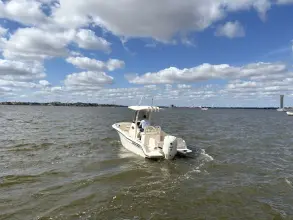 Thumbnail von Grady White Fisherman 216