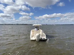 Thumbnail von Grady White Fisherman 216