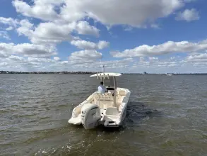 Thumbnail von Grady White Fisherman 216