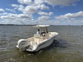 Thumbnail von Grady White Fisherman 216