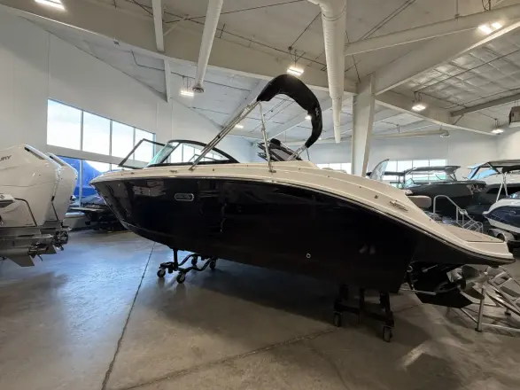 Sea Ray SDX 230