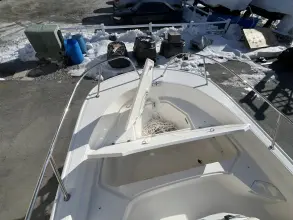 Thumbnail von Boston Whaler 190 Montauk
