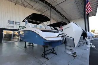Thumbnail von Sea Ray SDX 250 Outboard