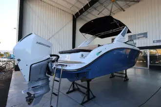 Thumbnail von Sea Ray SDX 250 Outboard