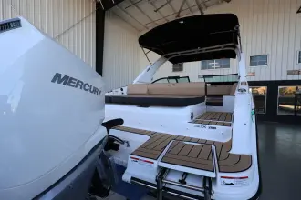 Thumbnail von Sea Ray SDX 250 Outboard