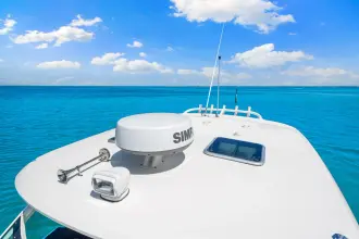 Thumbnail von Boston Whaler 320 Vantage