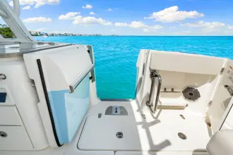 Thumbnail von Boston Whaler 320 Vantage