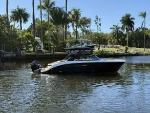 Sea Ray SDX 270 Outboard