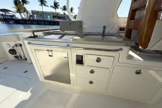 Thumbnail von Boston Whaler 380 Realm