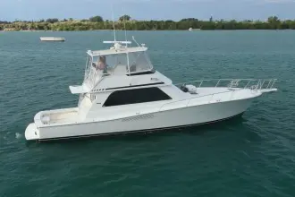 Thumbnail von Viking 50 Bill Fish