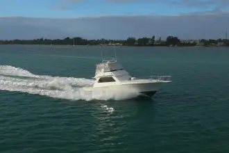 Thumbnail von Viking 50 Bill Fish