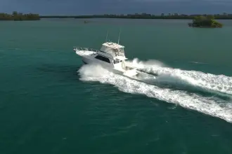 Thumbnail von Viking 50 Bill Fish