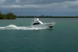 Thumbnail von Viking 50 Bill Fish