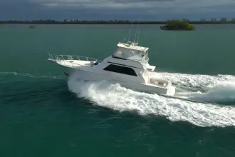 Thumbnail von Viking 50 Bill Fish