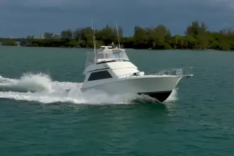 Thumbnail von Viking 50 Bill Fish