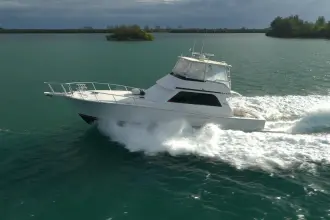 Thumbnail von Viking 50 Bill Fish