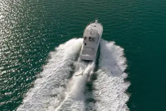 Thumbnail von Viking 50 Bill Fish
