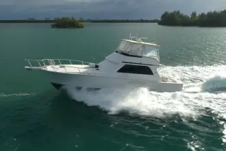 Thumbnail von Viking 50 Bill Fish