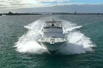 Thumbnail von Viking 50 Bill Fish