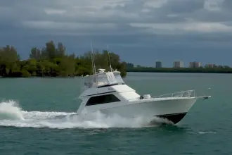Thumbnail von Viking 50 Bill Fish