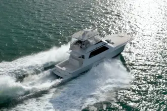 Thumbnail von Viking 50 Bill Fish