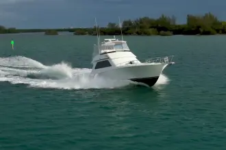 Thumbnail von Viking 50 Bill Fish
