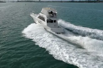 Thumbnail von Viking 50 Bill Fish