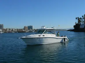 Thumbnail von Boston Whaler 315 Conquest